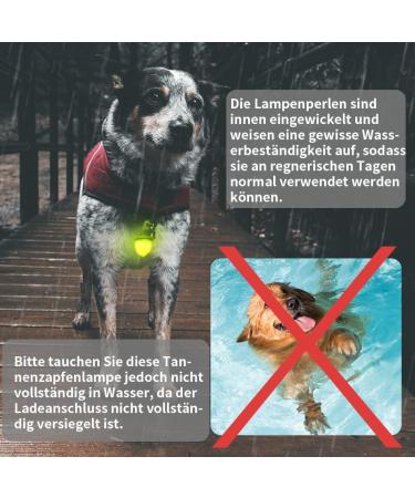 Laroo LED Flashing Safety Lights for Dogs & Cats - Rechargeable Turn Signal for Walks & Outdoor Sports (Green) - Buy Online on SooperMarket.com