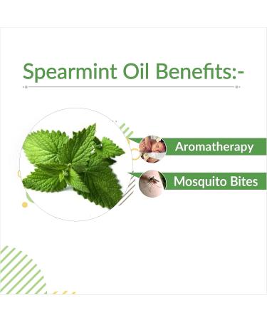 Crysalis Spearmint (Mentha Spicata) Oil |100% Pure & Natural Undiluted Essential Oil Organic Standard Spearmint Antioxidant Oil Reduces Fine Lines & Skin Imperfections Reduce Breakouts -15ml Dropper 15 ml (Pack of 1) - Buy Online on SooperMarket.com