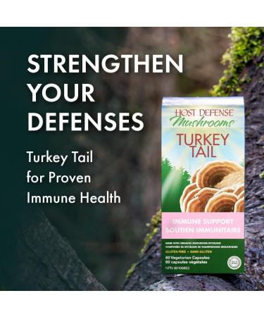 Host Defense Turkey Tail Mushroom Capsules Immune Support Mushroom Supplement Source of Fungal Polysaccharides Certified Organic Vegetarian Capsules 1000 mg Potency Turkey Tail Mushroom Capsules 60 count (Pack of 1) - Buy Online on SooperMarket.com