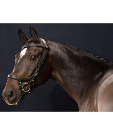 Buy PresTeq FaySport Snaffle Bridle Black Cob - Premium Equestrian Gear for International Shipping - Buy Online on SooperMarket.com