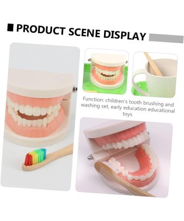 Frcolor Early Education Tooth Brushing Toy Set - Fun Children's Educational Toys for Teething & Dental Hygiene - Buy Online on SooperMarket.com