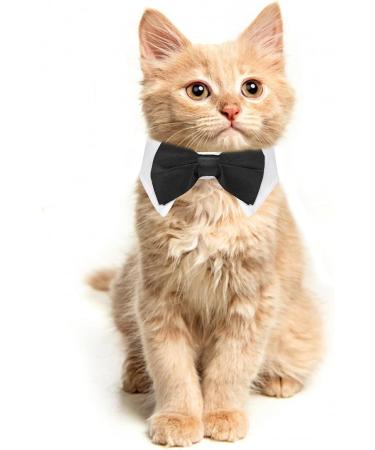 Formal Pets Bowtie Dog Cat Pets Adjustable Bow Tie and Collar Cats Puppy Grooming Ties Party Accessories Adjustable Pets Dog Cat Bow Tie Pet Costume Necktie Collar for Medium Large Boy Dog L (Pack of 1) - Buy Online on SooperMarket.com