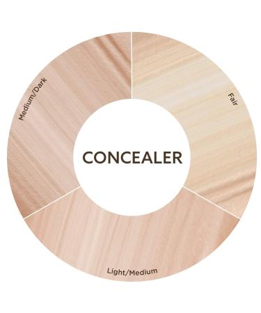Burt's Bees Fair Concealer 0.22oz - Natural & Organic Makeup - Buy Online on SooperMarket.com