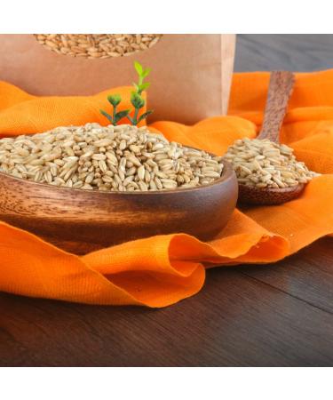 S ssundclever.de Bio Nakedhafer - Germinable Organic Oats 1kg | Eco-Friendly Plastic-Free Packaging from Germany - Buy Online on SooperMarket.com