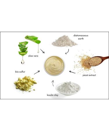 Raya Bio-Sulfur Masque | Deep Cleansing Facial Clay Mask for Oily Skin | Exfoliating Face Pack with Vitamin-B & Bio Sulfur | Control Breakouts & Oiliness - Buy Online on SooperMarket.com