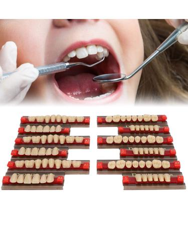 Buy Complete Resin Dentures | High-Quality Artificial Teeth & Dental Supplies for International Shipping - Buy Online on SooperMarket.com
