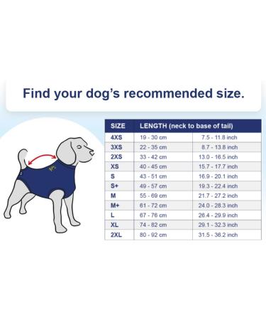 MPS Medical Pet Shirt Dog Surgery Recovery Suit Zebra-Print Medium + Medium+ (plus) - Buy Online on SooperMarket.com