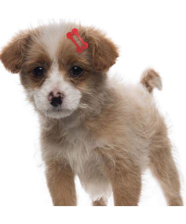 STOBOK 20pcs Mini Pet Hair Clip Bone-Shaped Snap Bows for Dogs and Cats - Grooming Topknot Bows for Parties and Birthdays - Random Color - Buy Online on SooperMarket.com