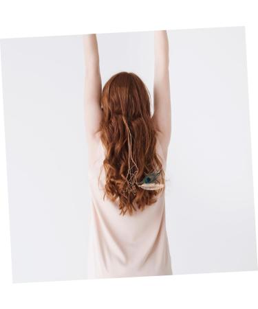 WOFASHPURET Feather Barrette Halloween Headpiece Halloween Tiara Tassel Headpiece Beach Headpiece Hair Bands for Women's Hair Womens Barrettes for Hair Head Hair Extension Hair Jewelry Wig - Buy Online on SooperMarket.com