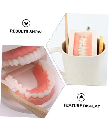 Buy Beavorty Learning Toothbrush Toys for Early Teething | Pedagogical Tooth Cleaning Model for Preschool - Buy Online on SooperMarket.com