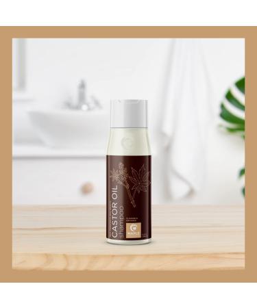 Jamaican Black Castor Oil Biotin Shampoo for Thinning Hair - Extra Volumizing Formula with Rosemary, Keratin, and Argan Oil - Sulfate-Free Moisturizer for Fuller Hair - 10 Fl Oz (Pack of 1) - Buy Online on SooperMarket.com