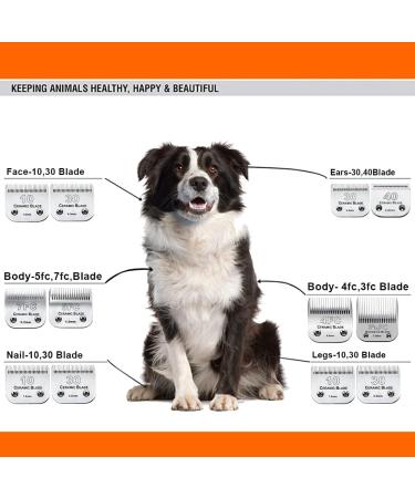 3Pack 10 Blade Dog Grooming Clipper Replacement Blades Compatible with Andis/Wahl/Oster Dog Clippers Detachable Ceramic Blade & Stainless Steel Blade 3 pieces #10 - Buy Online on SooperMarket.com