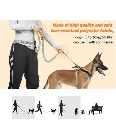 Hurluksi Dog Waist Lead - Hands-Free Heavy Duty Running Belt Leash with Bungee Retractable Design and Sponge Handle (Orange) - Buy Online on SooperMarket.com