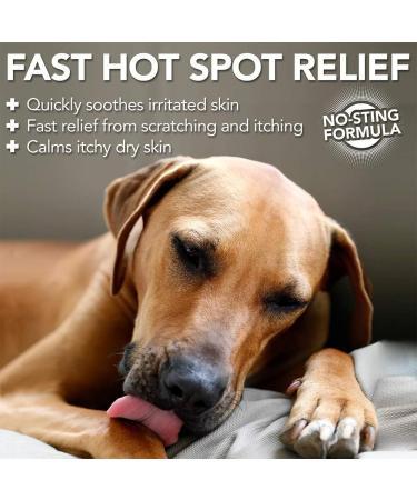 Vets Best Allergy Relief for Dogs - 250ml Spray | Fast-Acting Relief for Itchy Skin & Seasonal Allergies | Shop Internationally - Buy Online on SooperMarket.com