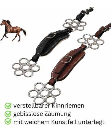 AMKA Hackamore Flora - Soft Padded Bitless Bridle with Flower Wheel | Brown | International Shipping Available - Buy Online on SooperMarket.com