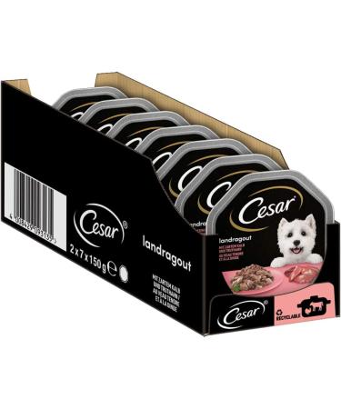 Cesar dog food wet food country kitchen with calf and turkey in a delicious sauce 14 bowls (14 x 150g) Land kitchen Kalb & Truthahn 150 g (14 Pack)