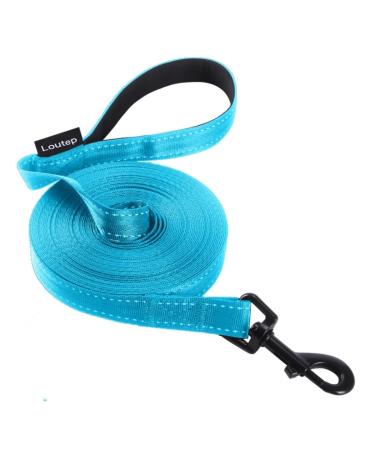 Loutep Reflecting training lines for dogs 3 m 5 m 10 m 15 m 20 m 25 m 30 m strong nylons rope extra long leash dog leash with padded handle for large medium -sized and small reflective light blue