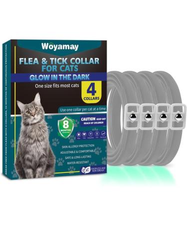 Luminous Safety Glow Repellent Collar Adjustable Water Resistant Cat Repellent Collars for Cats Medium Large Puppy 4 Pack Grey