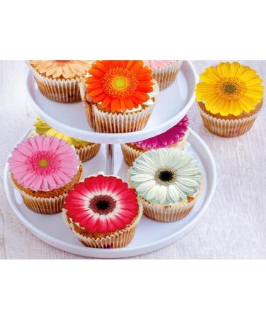 Pre-Cut Beautiful Gerbera Daisy A Edible Wafer Paper Flowers Cupcake Toppers Cake Decorations Birthday Party (12) - Buy Online on SooperMarket.com