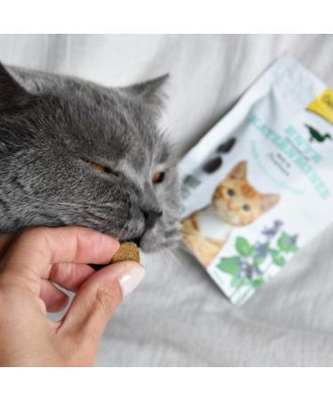 Gimcat Crunchy Snacks with Catnip - Protein-Rich Duck Delicacies No Added Sugar - 50g Bag for Cats - Buy Online on SooperMarket.com
