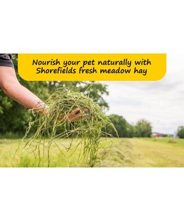 Shorefields Fresh Meadow Hay - Animal Feeding Hay Bale for Rabbits Guinea Pig Horses Hamsters Ponies - Nutritious Grasses & Wildflowers Blend - Green & Dust Free - Buy Online on SooperMarket.com