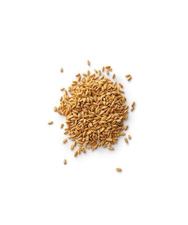 Royal Lee Organics Organic Spelt Berries 10 lbs - Premium Quality, 100% Whole Grain (Pack of 1) - Buy Online on SooperMarket.com