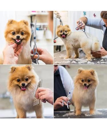 6.7 Inch Stainless Steel Dog Grooming Scissor Kit with Safety Round Tips - Pet Grooming Shears Set with Thinning & Curved Scissors for Hair Fur Care - Buy Online on SooperMarket.com