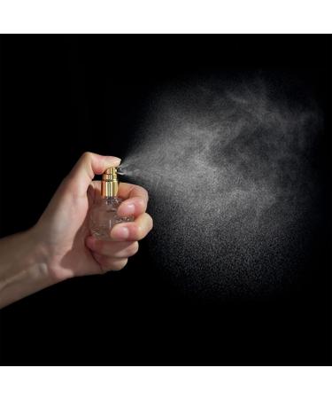 Yu Feng Set: 12.10ml Portable Refillable Transparent Glass Spray Bottles | Travel Cosmetic Containers for Parties & Must-Have Tool - Gold - Buy Online on SooperMarket.com