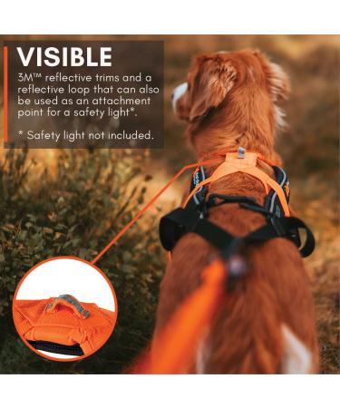 Non-stop Dogwear Freemotion Harness 5.0 | Versatile Dog Harness for All Sports | Size 8 Black/Orange - Shop Internationally - Buy Online on SooperMarket.com