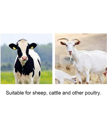 Glomora Cow Brush - Premium Hair Care Rake Comb for Livestock Cattle Sheep & Horses | Anti-Itch Tool for Healthy Shiny Fur - Buy Online on SooperMarket.com