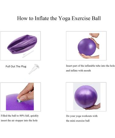 Mini Exercise Barre Ball for Yoga Pilates - 9 Inch Small Bender Ball for Core Training and Physical Therapy at Home - Buy Online on SooperMarket.com