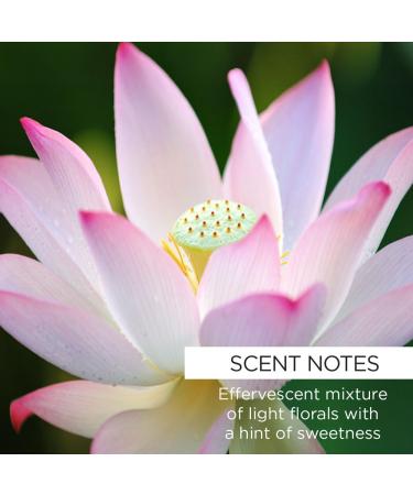 Whish Rose Hip & Lotus Firming Night Mask - Plumping Overnight Mask with Rosehip Oil - Moisturizing Sleeping Mask for All Skin Types - Paraben & Sulfate Free - 2 Fl oz - Buy Online on SooperMarket.com