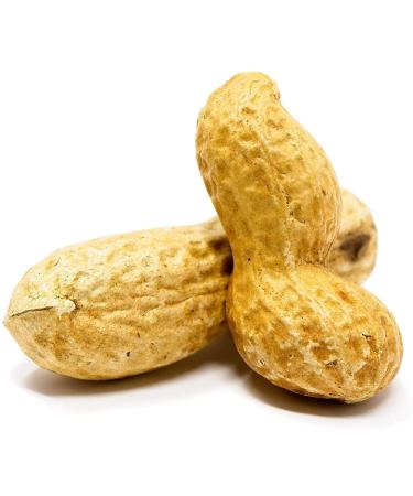 Premium USA Grown Raw Peanuts in Shell for Squirrels - Unsalted & Boiled Jumbo Peanuts for Birds - Green - Buy Online on SooperMarket.com