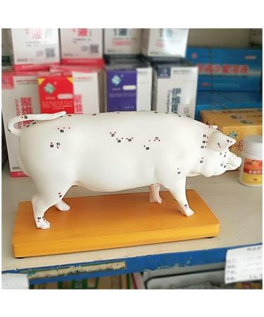 Acupuncture Pig Model Veterinary Acupuncture Animal Anatomy Model Medical Training Aid - Buy Online on SooperMarket.com