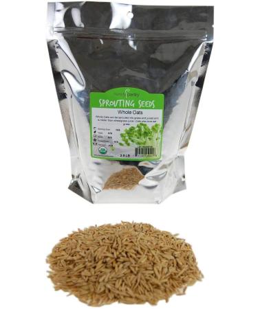 2 Lb Organic Non-GMO Whole Oat Grain Seeds (With Husk Intact) - Oats Seed Grains, for Sprouting, Oat Grass, Animal Feed, Storage & More