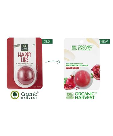  Moisturizing Pomegranate Lip Balm | Organic Lip Care for Dry & Chapped Lips | Paraben & Sulphate Free - 8 gm  - Buy Online on SooperMarket.com
