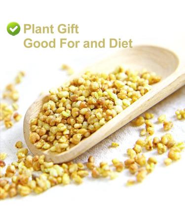 Flower 2 (150G-Yellow Buckwheat Tea) - Buy Online on SooperMarket.com