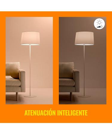 WiZ Connected Color 60W Candle B11 Smart WiFi Light Bulb  16 Million Colors  Compatible with Alexa and Google Home Assistant  No Hub Required  1 Bulb Candle Color 1 Count (Pack of 1) - Buy Online on SooperMarket.com