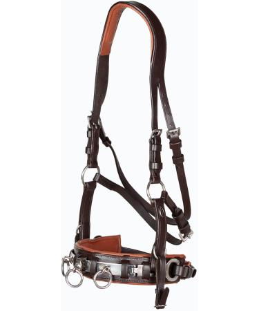 Heinick-Reitsport Professional Leather Cavesson with Stainless Steel Bit Strap Nosepiece - Brown-Chestnut - Ideal for Thoroughbreds - International Shipping Available - Buy Online on SooperMarket.com