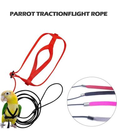 Premium Bird Leash & Dishes - Anti-Bite Flight Training Rope for Small Birds | Perfect for Nymphensittich & Outdoor Use - Buy Online on SooperMarket.com