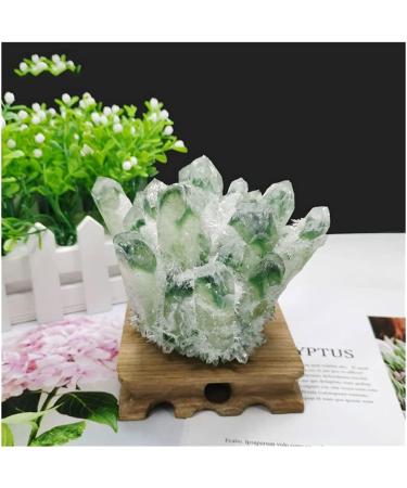 Stone Crafts Green Ghost Phantom Quartz Crystal Cluster Specimen kaixun (Size : 500-600g) - Buy Online on SooperMarket.com
