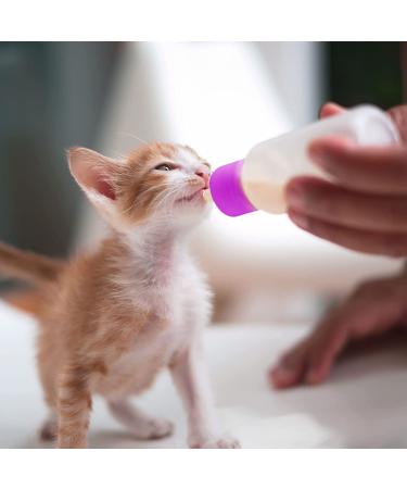 Tondiamo 16-Piece Pet Feeding Bottle Kit | Kitten Milk Replacer & Puppy Feeder Set with Replacement Nipples | Nursing Supplies for Newborn Small Animals - Blue/Pink - Buy Online on SooperMarket.com