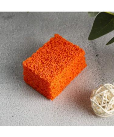 Verdant Touch FX Makeup FX Blood Scar Stubble Effect Wound Makeup Stipple Sponge for Halloween Xmas (Small Hole) - Buy Online on SooperMarket.com