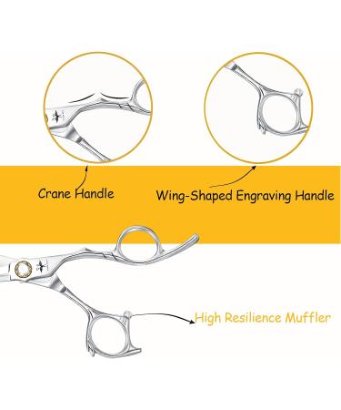 PURPLEBIRD 6 Inch Hairdressing Scissors - Professional Japanese Stainless Steel Barber Scissors for Salon, Men, Women, Children - A-6 Shear - Buy Online on SooperMarket.com