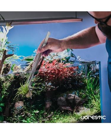 VORESTIC 38cm Curved Tweezers for Aquarium & Terrarium - Reptile Feeding Tongs - Buy Online on SooperMarket.com