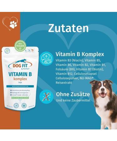 Dog Fit by Prethis - Vegan B Vitamin Complex for Dogs | Nerve Strengthening Incontinence & Nervousness Support | Large Animals (25kg+) - Buy Online on SooperMarket.com