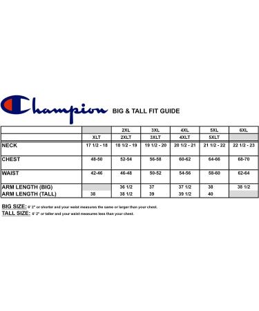 Champion Big and Tall Men's Fleece Graphic Pullover Hoodie - X-Large Tall Space Dye Hthr - Buy Online on SooperMarket.com