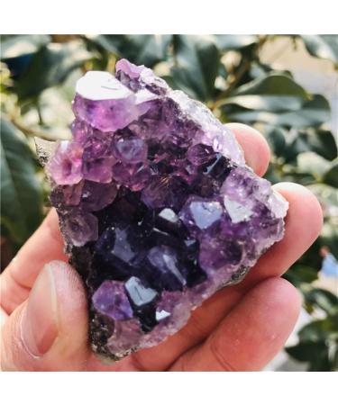 Natural Amethyst Cluster Quartz Crystal geode Specimen Suitable for Home HOMEZHOU (Size : 160-190g) - Buy Online on SooperMarket.com