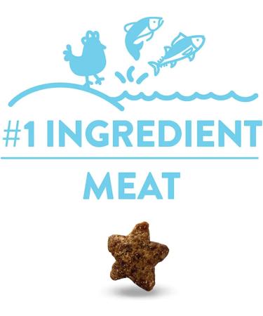 Shameless Pets Catnip N' Chill Crunchy Cat Treats Chicken/Catnip - 71 g Cat Treats - Buy Online on SooperMarket.com