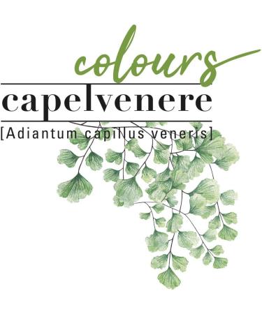 Helan Capelvenere Colours Permanent Natural Hair Colour Nuance N6.1 Dark Ash Blonde - Easy Application Kit Odourless Excellent Coverage - Ammonia and Alcohol Free Hair Colour 125 ml - Buy Online on SooperMarket.com